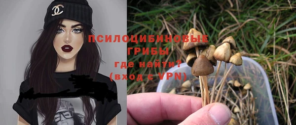 прущие крисы Верея