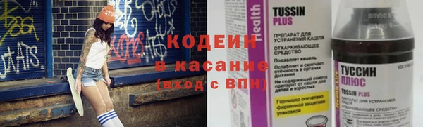 крисы Корсаков