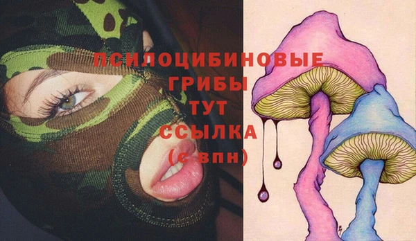ECSTASY Богородск