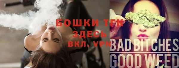 ALPHA PVP Богданович