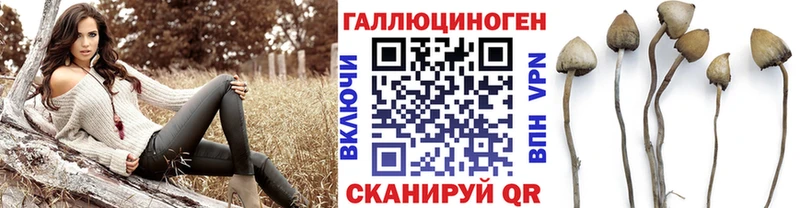 Галлюциногенные грибы Psilocybine cubensis  Вилюйск 